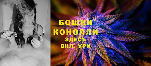 гидра Армянск