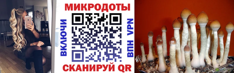 Галлюциногенные грибы ЛСД Байкальск